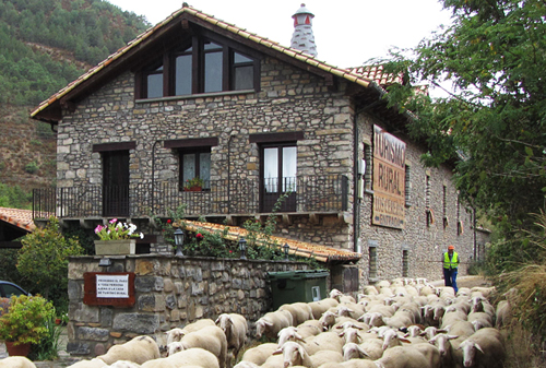 Turismo rural en Jaca Los Cerezos