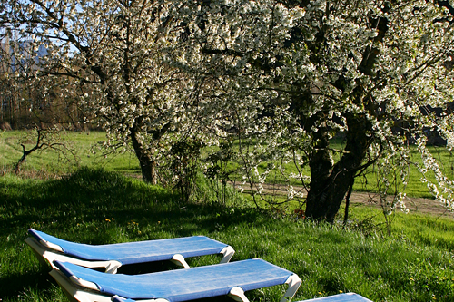 Turismo rural en Jaca Los Cerezos