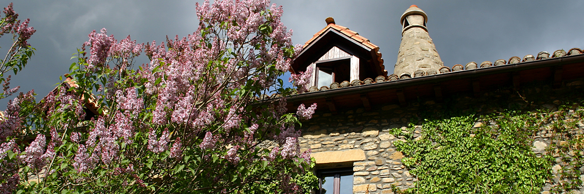 Alojamiento rural en el Pirineo aragonés "Los Cerezos" Jaca - Pirineos