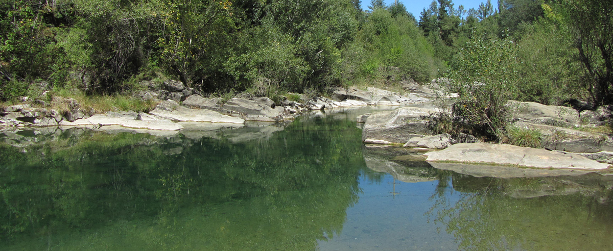 Turismo rural en Jaca Los Cerezos